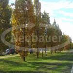 images/bilder/gallery_allgemein/20131022_132945.jpg