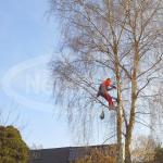 images/bilder/gallery_allgemein/20140311_082604.jpg
